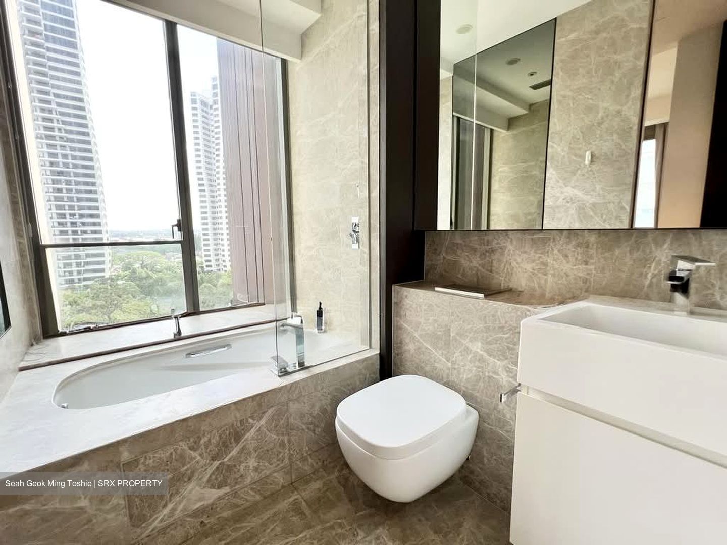 Leedon Residence (D10), Condominium #553866481
